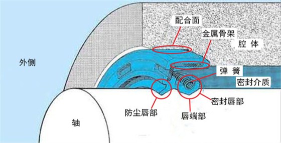 骨架油封位子結構