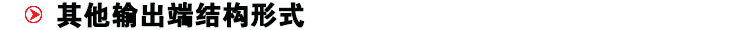 其他輸出結(jié)構(gòu)-標(biāo)題